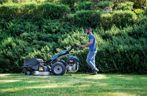 Rasaerba giardinaggio